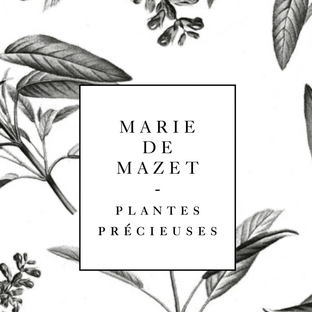 Logo Marie de Mazet